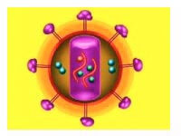Aids: nelle scimmie un gene che frena il virus?
