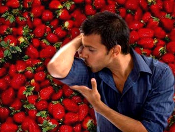 NUTRI I TUOI MUSCOLI - nutrimuscoli BASE - Gay.it