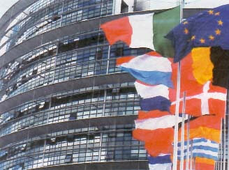 Sui gay Ruini ora bacchetta il Parlamento Europeo
