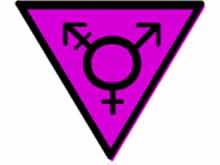 Belluno: ormoni gratis per trans in carcere - trans prigione - Gay.it