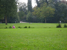 Sesso nei parchi. In Olanda si può - parco amsterdamBASE - Gay.it