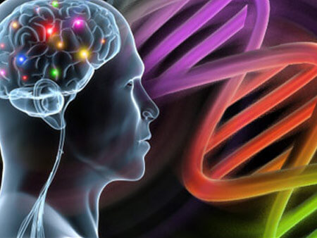 I gay usano il cervello come le donne per riconoscere i visi