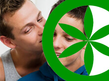 Lega Nord: "Stop ai baci gay in tv all'ora di cena" - baciogaylegaBASE - Gay.it