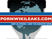 Porno Wikileaks: rivelazioni sulle star e odio contro i gay