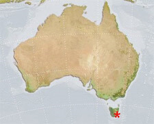 La Tasmania vota in favore dei matrimoni gay - tasmania coppiaF1 - Gay.it