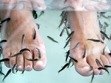 Pedicure? Pericolo HIV e epatite coi pesciolini