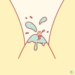 Quando lo squirting diventa arte. I disegni più belli - Thumbnail