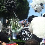 Gay Pride a Tel Aviv 2 parte - Thumbnail
