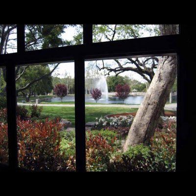 Neverland: le foto del ranch segreto