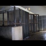 Neverland: le foto del ranch segreto - Thumbnail
