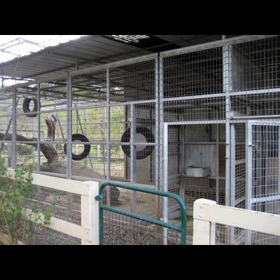 Neverland: le foto del ranch segreto