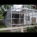 Neverland: le foto del ranch segreto - Thumbnail