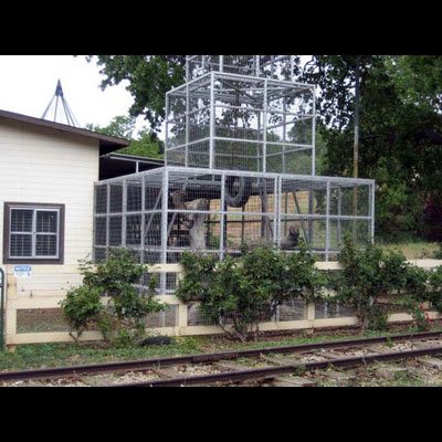 Neverland: le foto del ranch segreto
