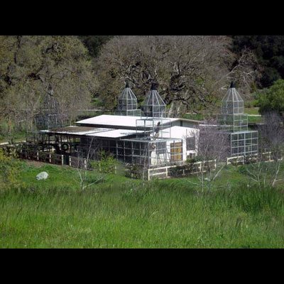Neverland: le foto del ranch segreto
