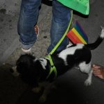 Il Micropride dell 8 settembre 2009 - Thumbnail