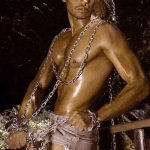 2008 - Modelli italiani - Thumbnail