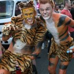 Il folle Mardi Gras di Sydney - Thumbnail