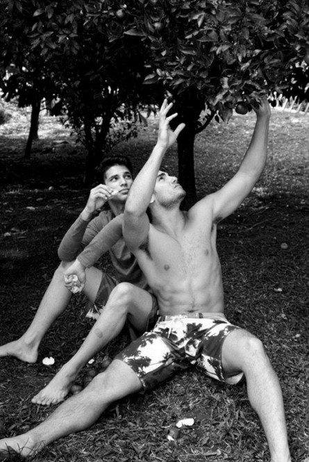 Didio e i sensuali sapori dell'estate