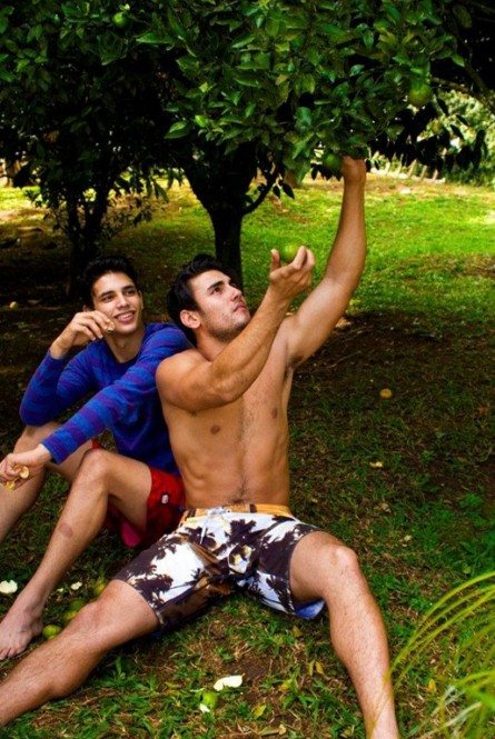 Didio e i sensuali sapori dell'estate