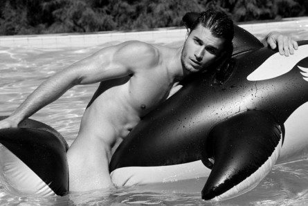 Ygor, corpo a corpo con la balena per Didio