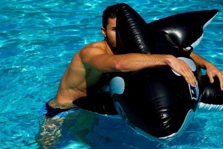 Ygor, corpo a corpo con la balena per Didio