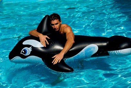 Ygor, corpo a corpo con la balena per Didio