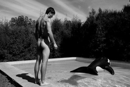 Ygor, corpo a corpo con la balena per Didio
