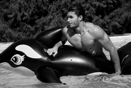 Ygor, corpo a corpo con la balena per Didio