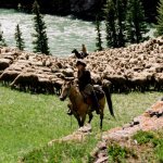 Brokeback Mountain - Thumbnail