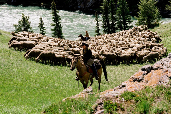 Brokeback Mountain