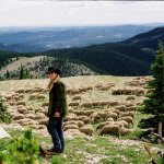 Brokeback Mountain - Thumbnail