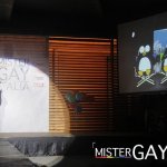 Supergallery Mister Gay Italia: tutte le foto della serata - Thumbnail