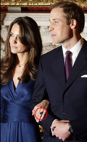 Foto del giorno di Mercoledì 17 Novembre 2010