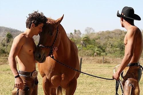 Cowboys Forever, anche i campeiros brasiliani sono gay