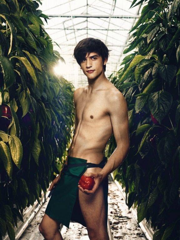 Giovani contadini austriaci a nudo per il 2012