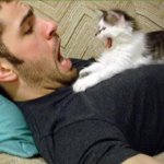 I ragazzi della rete che fanno le fusa - Thumbnail