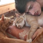 I ragazzi della rete che fanno le fusa - Thumbnail