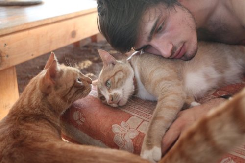 I ragazzi della rete che fanno le fusa