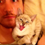I ragazzi della rete che fanno le fusa - Thumbnail