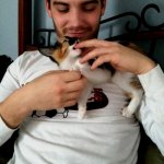 I ragazzi della rete che fanno le fusa - Thumbnail
