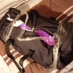 Foto del giorno di Mercoledì 29 Agosto 2012 - Thumbnail