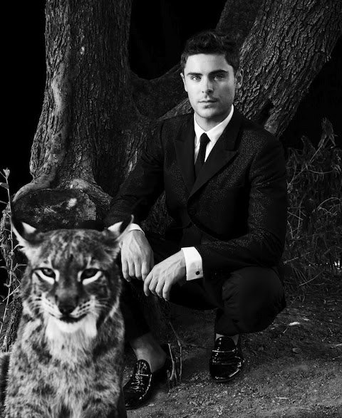 Zac Efron e gli animali. L'attore fra ricci, uccelli e volpi