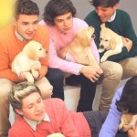 Gli One Direction in versione bravi ragazzi per Wonderland - Thumbnail