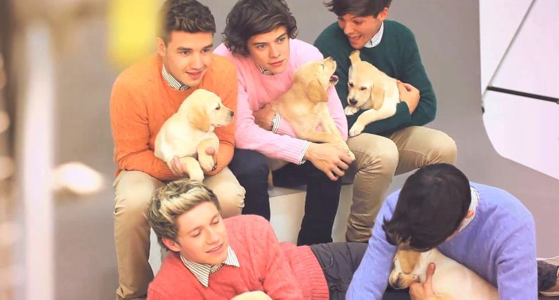 Gli One Direction in versione bravi ragazzi per Wonderland