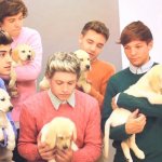 Gli One Direction in versione bravi ragazzi per Wonderland - Thumbnail