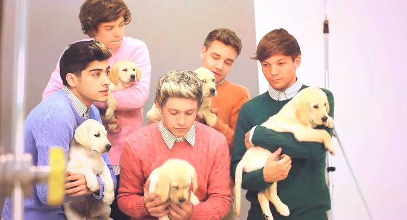 Gli One Direction in versione bravi ragazzi per Wonderland
