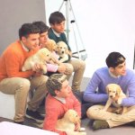 Gli One Direction in versione bravi ragazzi per Wonderland - Thumbnail