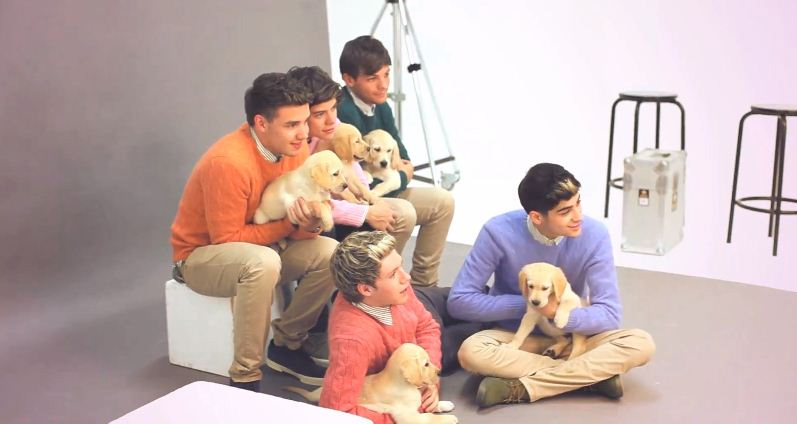 Gli One Direction in versione bravi ragazzi per Wonderland