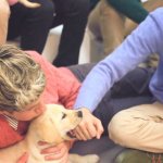 Gli One Direction in versione bravi ragazzi per Wonderland - Thumbnail