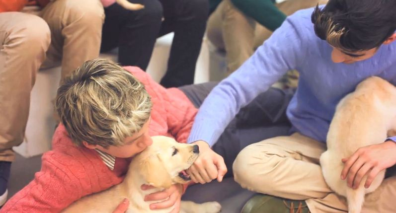 Gli One Direction in versione bravi ragazzi per Wonderland